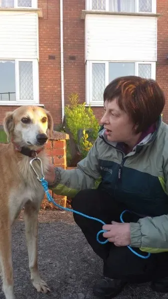 10414406 714481905267343 369656121160456872 n