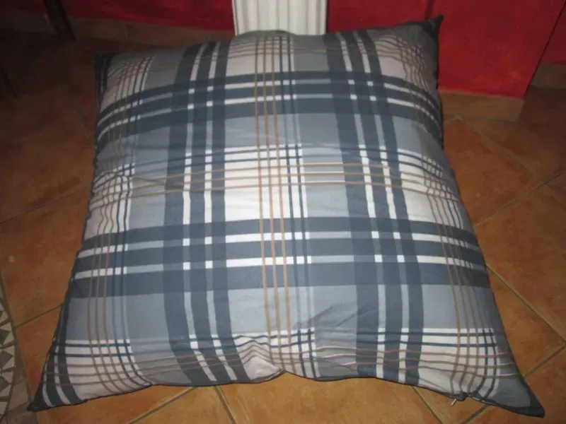 10414509 724001231017068 1339589683489354527 n