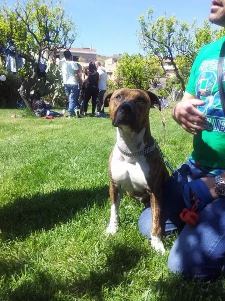 10417553 10205658706179377 8279312741877830692 n