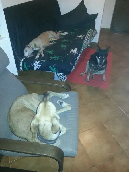 10417602 10204113217819010 7306082303233891385 n