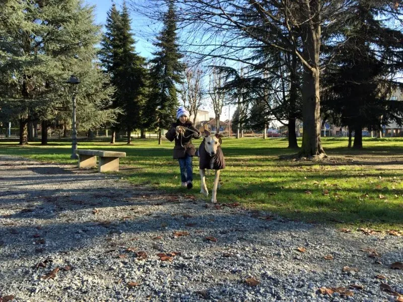 10417677 398908116932574 4238097845330361604 n