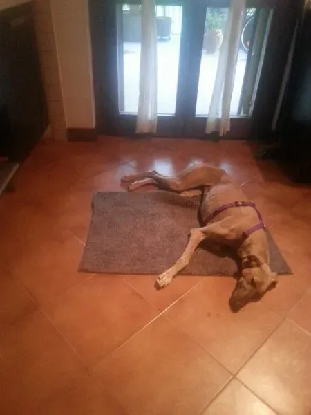 10417782 10204090693815924 4004186729208753377 n