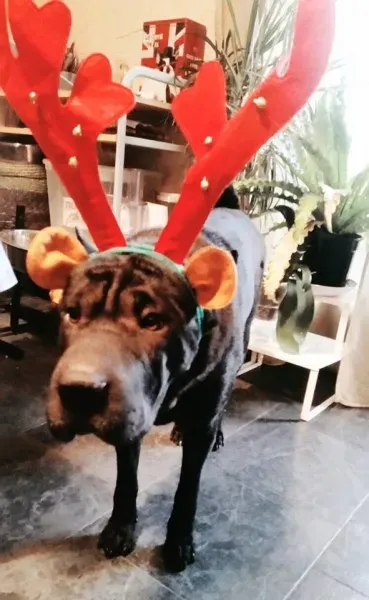 10418180 10208373147791041 6961736302158353010 n