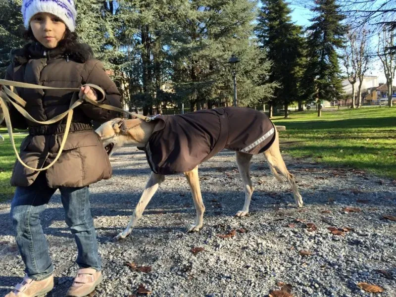 10419002 398908346932551 2884261454235804435 n