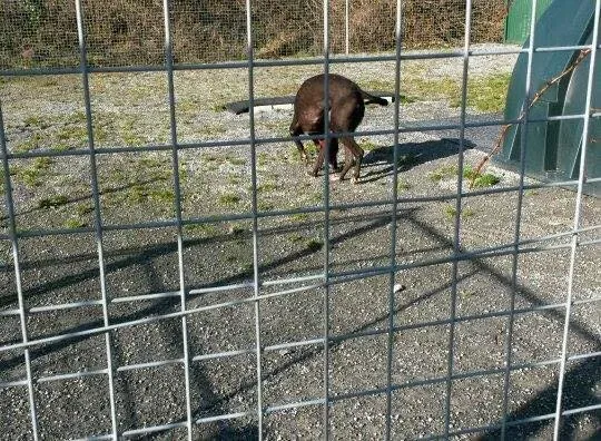 10419386 784590148291509 3798309561486390052 n