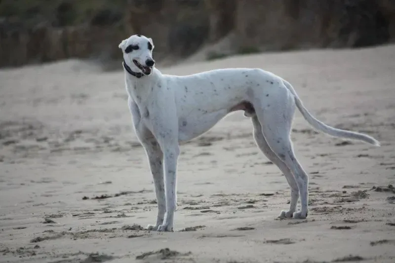 10419424 1565111460389063 445800822839895553 n