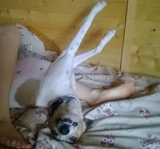 10419460 693954453999063 413305093262837185 n