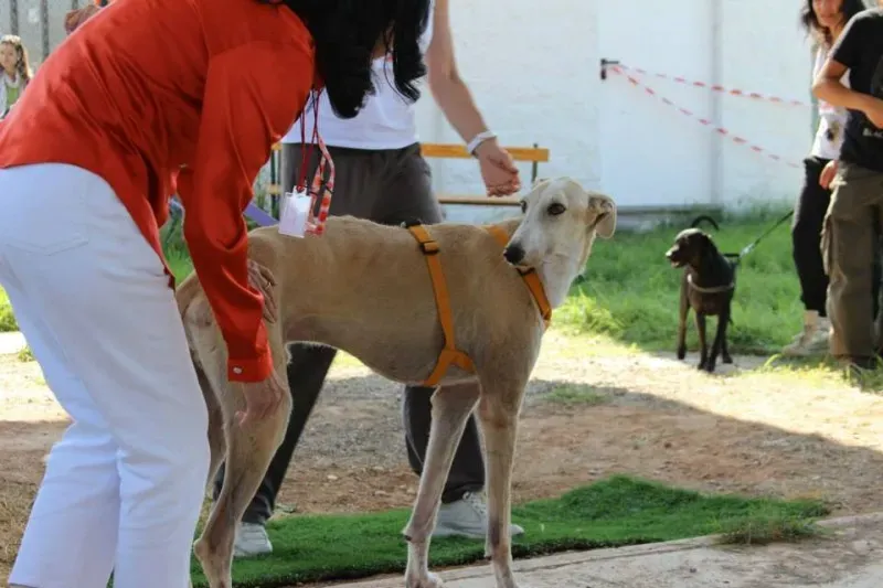 10420063 697357167014808 2675871097106350832 n