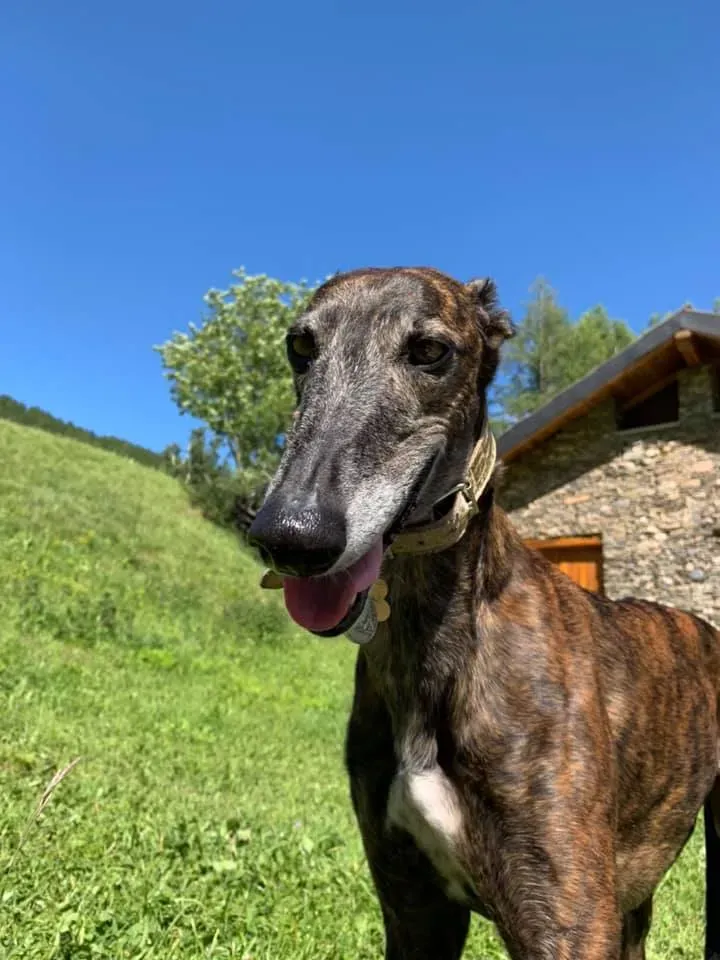 104207106 10220577553781966 1480939006401928163 n