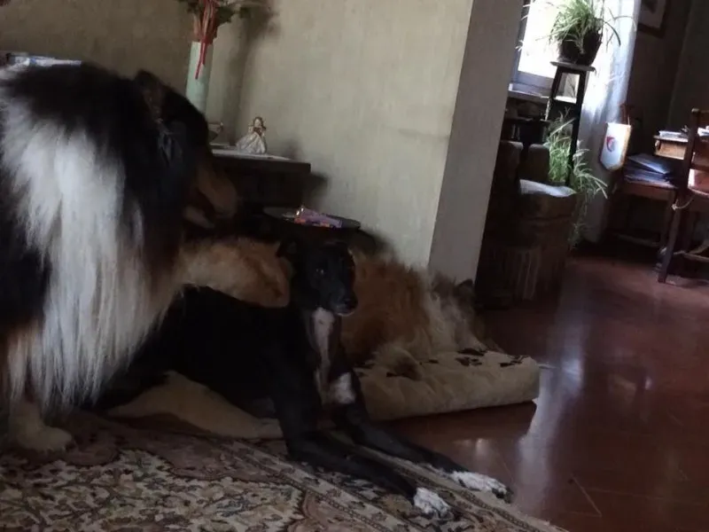 10421103 10208493524112562 5116835592204005066 n