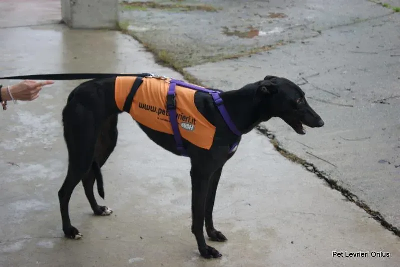 10421195 737315389685652 5107574642458122166 n