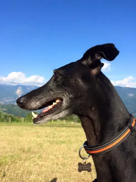 10421265 10153400690758069 1564924134282464954 n