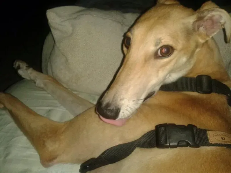 10421391 677745278975997 5331259629252873664 n