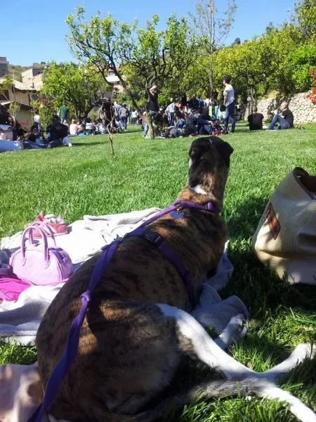 10421563 10205658703219303 6633387178641800309 n