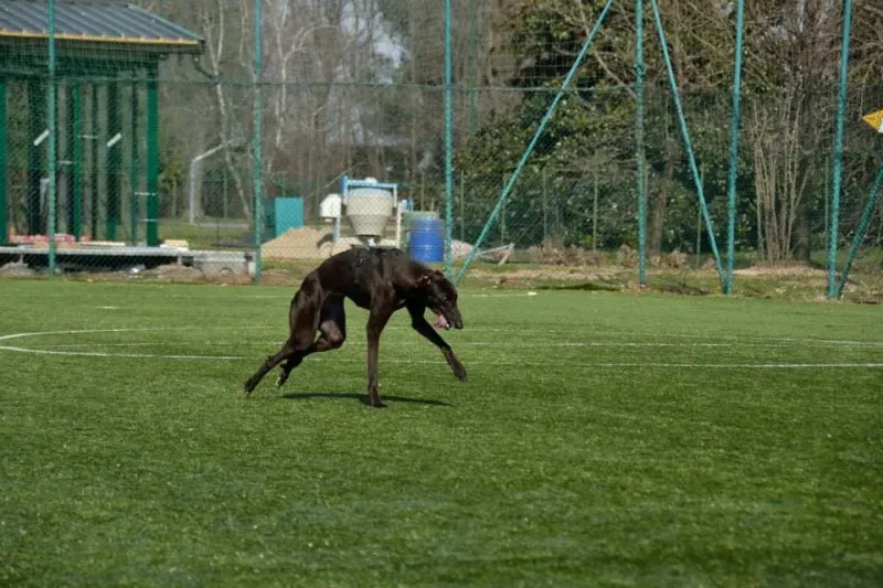 10422385 791892217561302 1268128436542893385 n