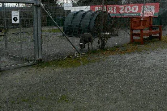 10423311 785489178201606 4991616573988390359 n