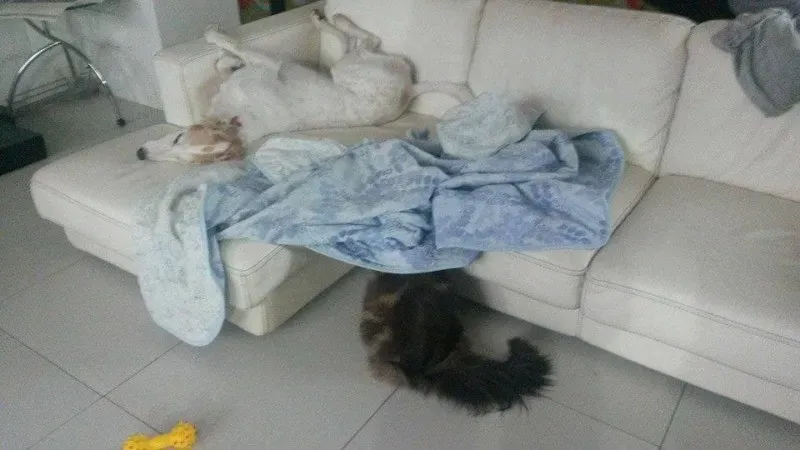 10423633 757591570991367 1519406448583613154 n