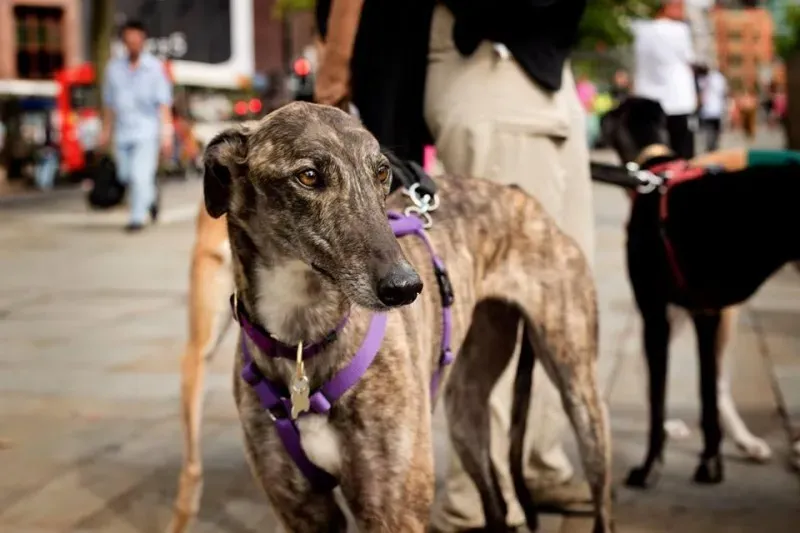 10423912 737552576342538 5195556641791266457 n