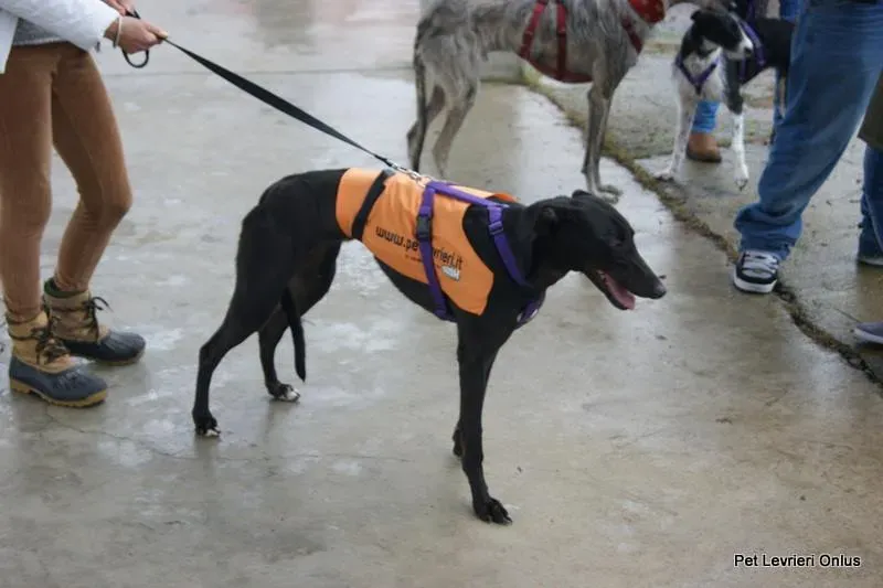 10424334 737315343018990 1118170379842159127 n