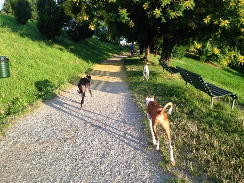 10425022 845275838889606 1783581791926343875 n