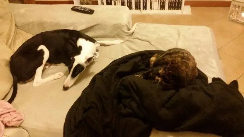 10425491 775562085860982 7147309076690480181 n