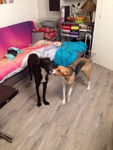 10425521 10204398893156204 682239064 n