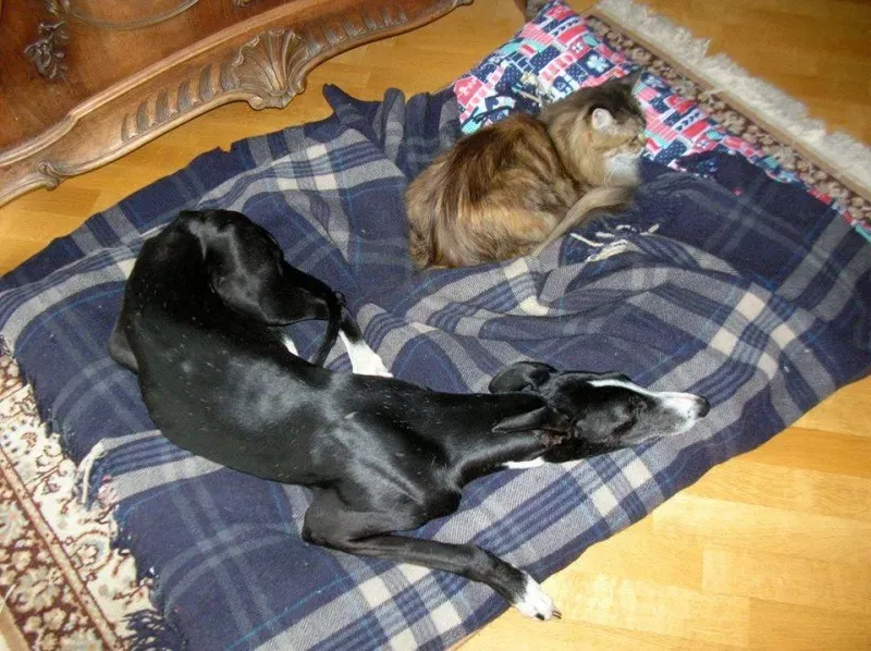 10426206 775564662527391 4325626860429287733 n