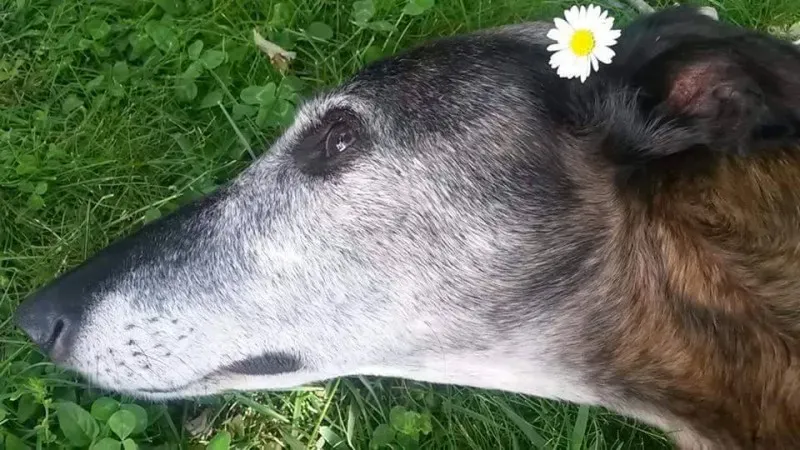 10426313 1426013284373950 3058900536949316413 n2