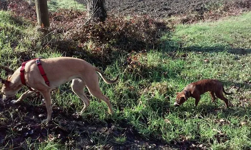 10426663 1028559700494647 2243893409024667825 n