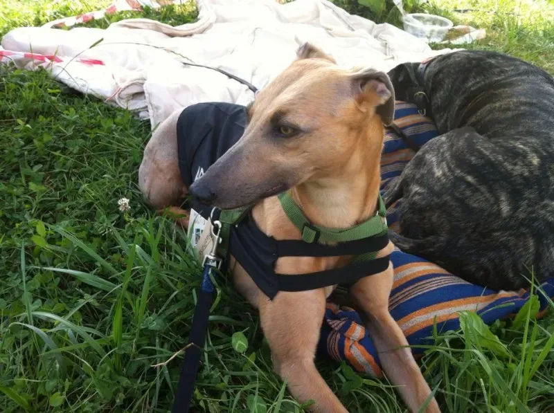 10426808 10201960391838010 2702445968783119151 n