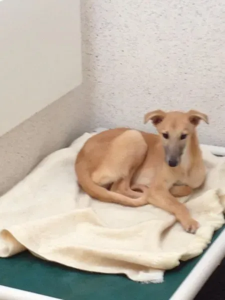 10427366 1602954523265862 5533696046042442857 n