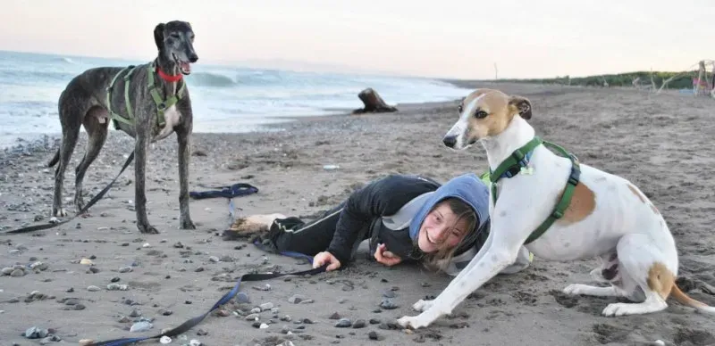 10428137 10204138705379221 4967467439915021512 o