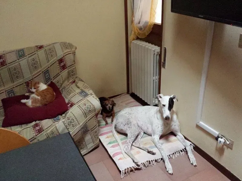 10428662 766743180076206 5275319922501525248 n