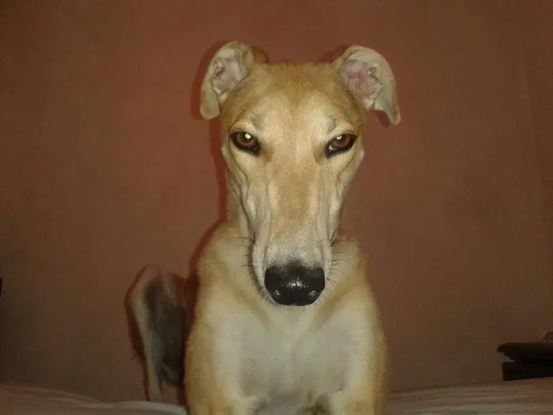 10429272 677745388975986 2338140511109782837 n