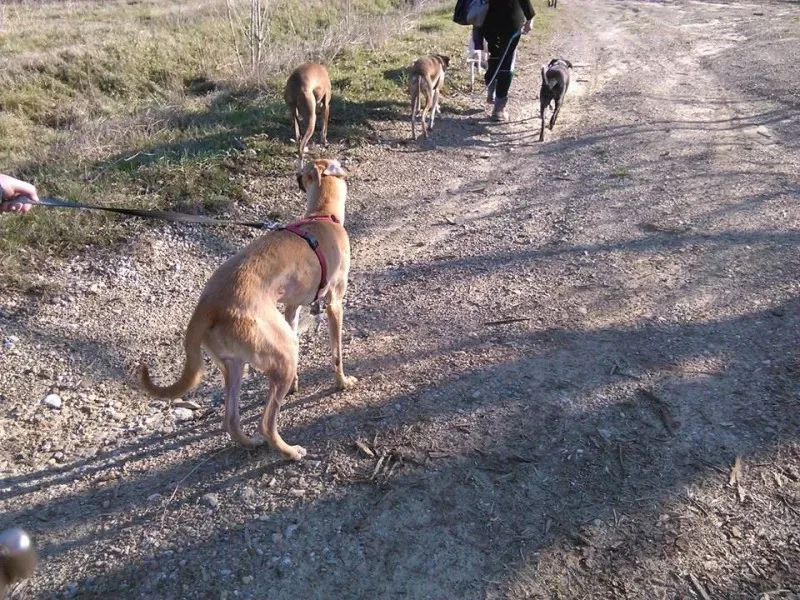 10429327 895104610510098 5617296825741017417 n