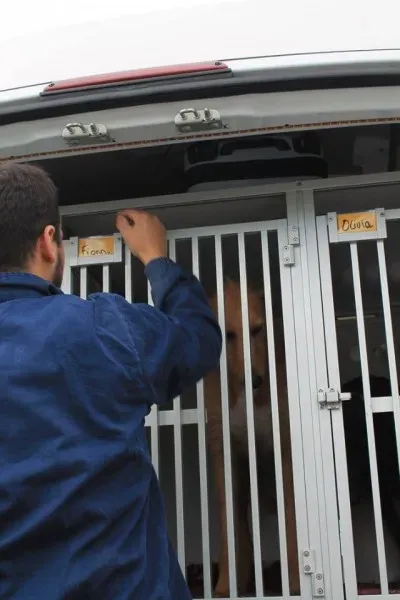 10429826 1014947968522902 4106174654513886848 n