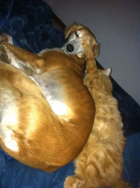 10430397 766742543409603 1761858492378299653 n