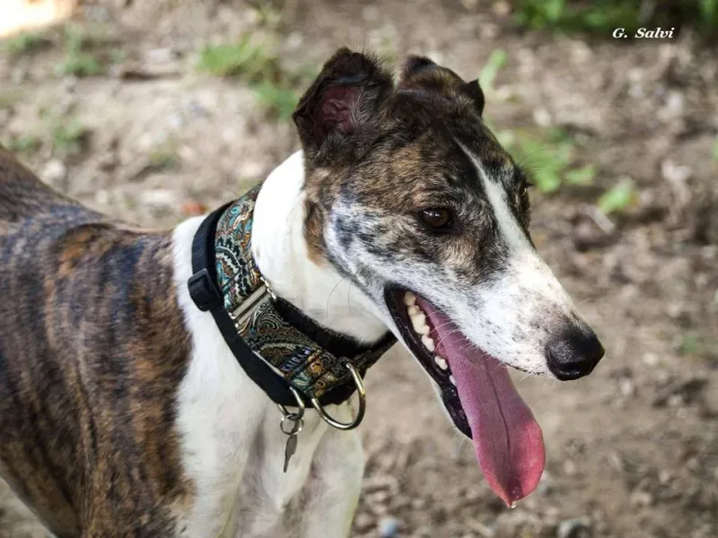 10430458 10205174418536387 8684781044873451275 n