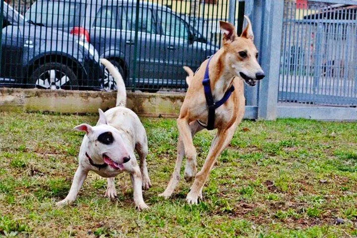 10431499 10207845047703038 6265604759950249736 n