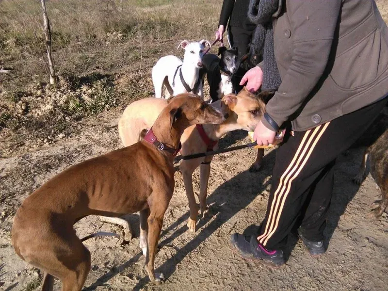 10431501 895104637176762 2591203352310870136 n