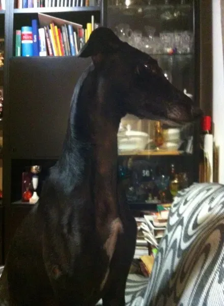 10431545 10202937616508016 3752535580418321040 n