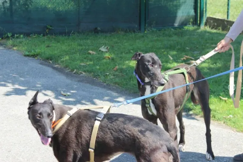 10432974 640700002680525 5559248491105993700 n