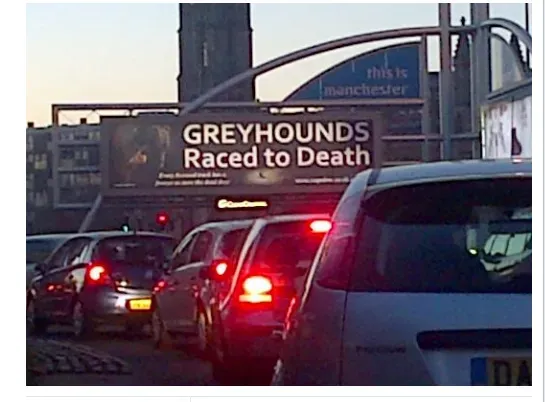 10436187 720488618059276 3313286436104654981 n