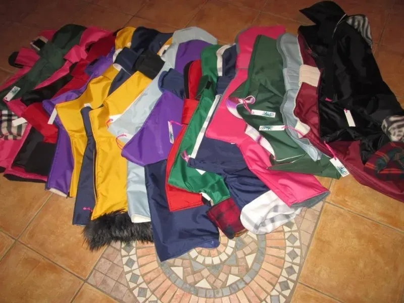 10438181 724001971016994 5732034279221582994 n