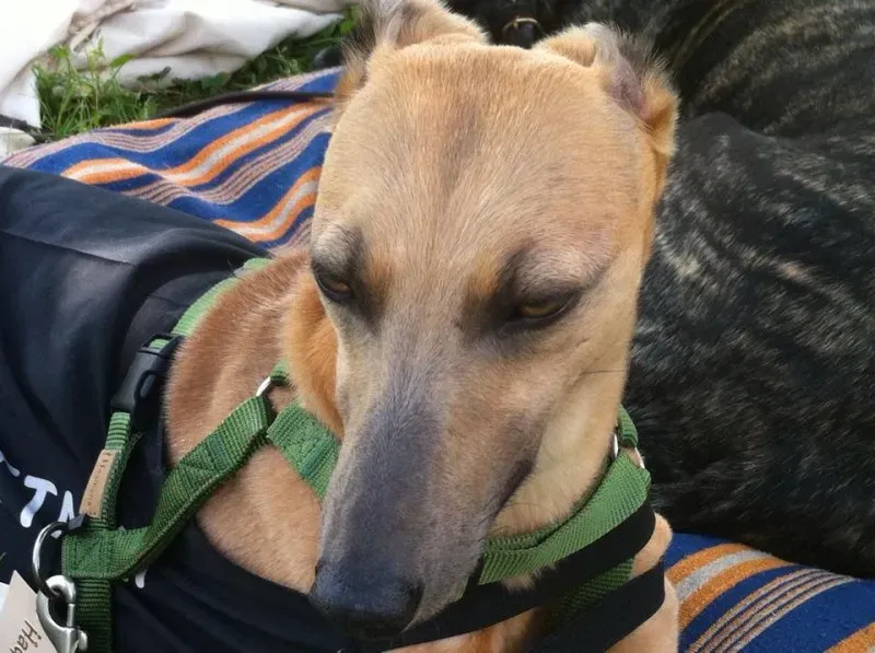 10438506 10201960392718032 6939323114033760396 n