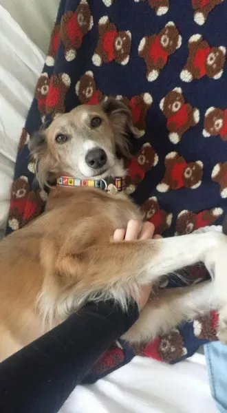 1043932 10208781019313160 7777408159218127826 n