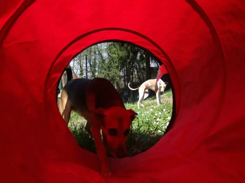 1044032 10202835662323959 183868824 n 1