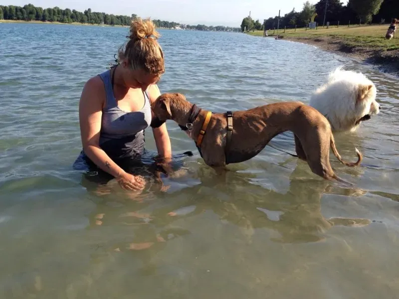 10440786 10203300287820829 216727515219477171 n