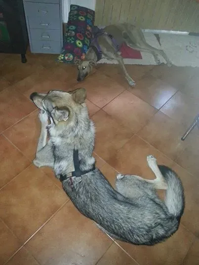 10440841 10204102553112399 3864402646771024100 n