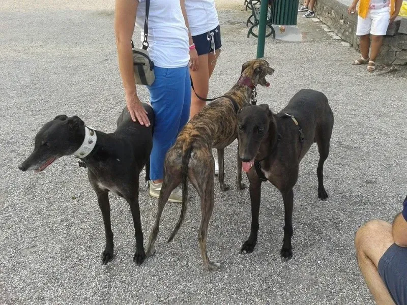 10441301 682760701801438 6387652109898040739 n